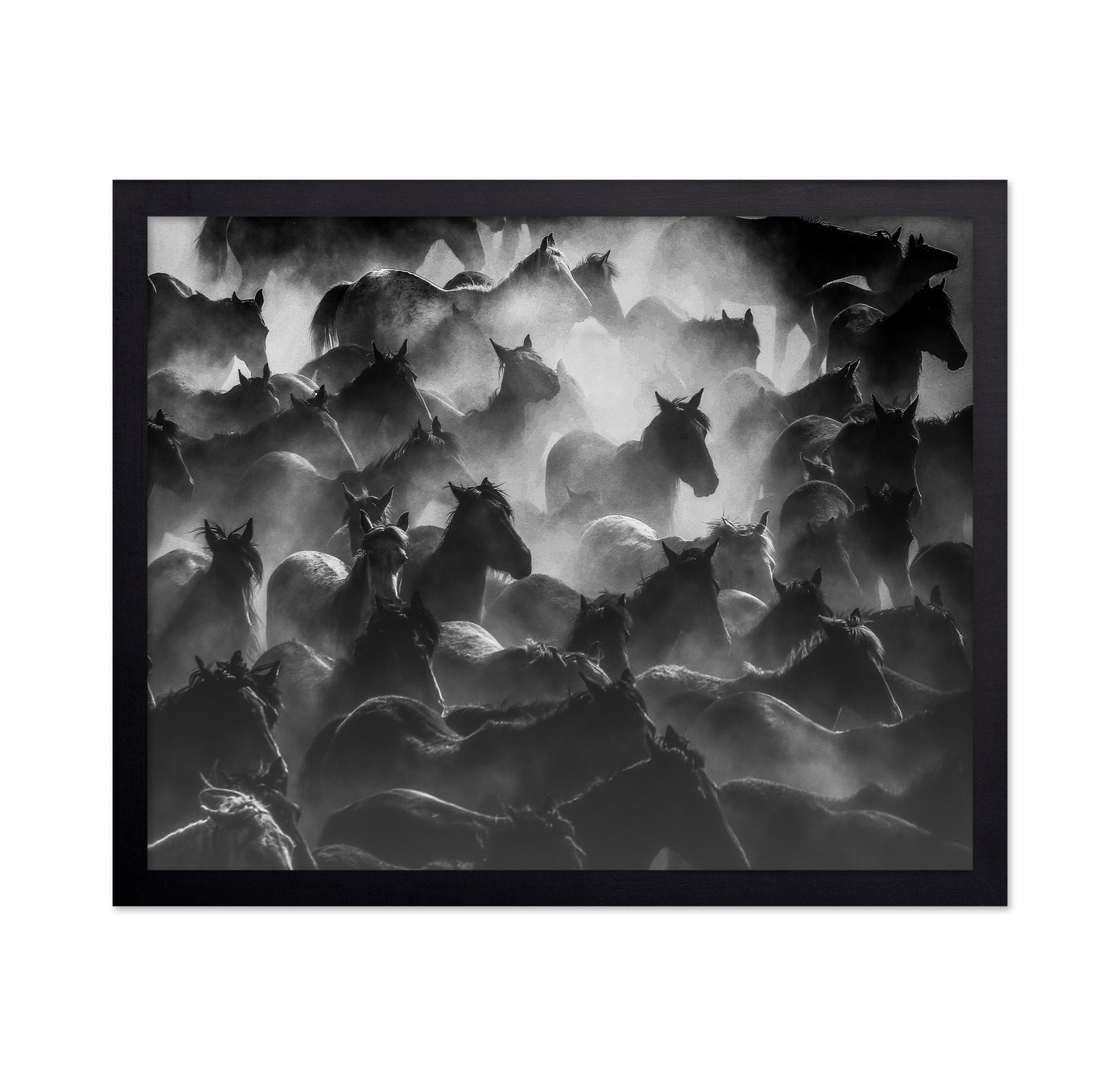 Wild Herd Mist