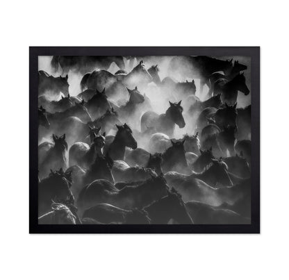 Wild Herd Mist