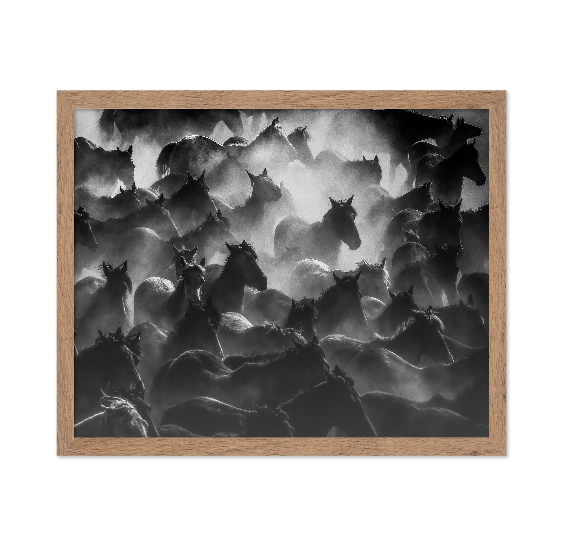 Wild Herd Mist
