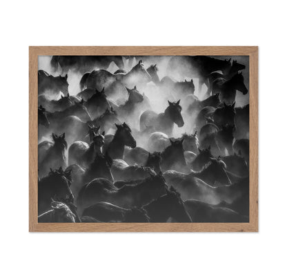 Wild Herd Mist