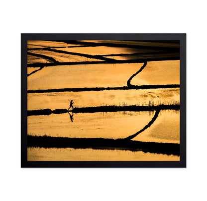 Golden Fields Walker