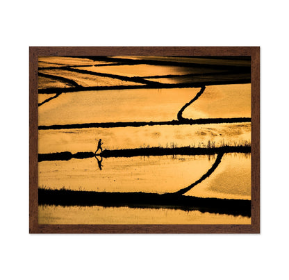 Golden Fields Walker