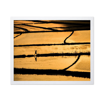 Golden Fields Walker