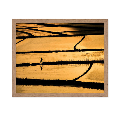 Golden Fields Walker