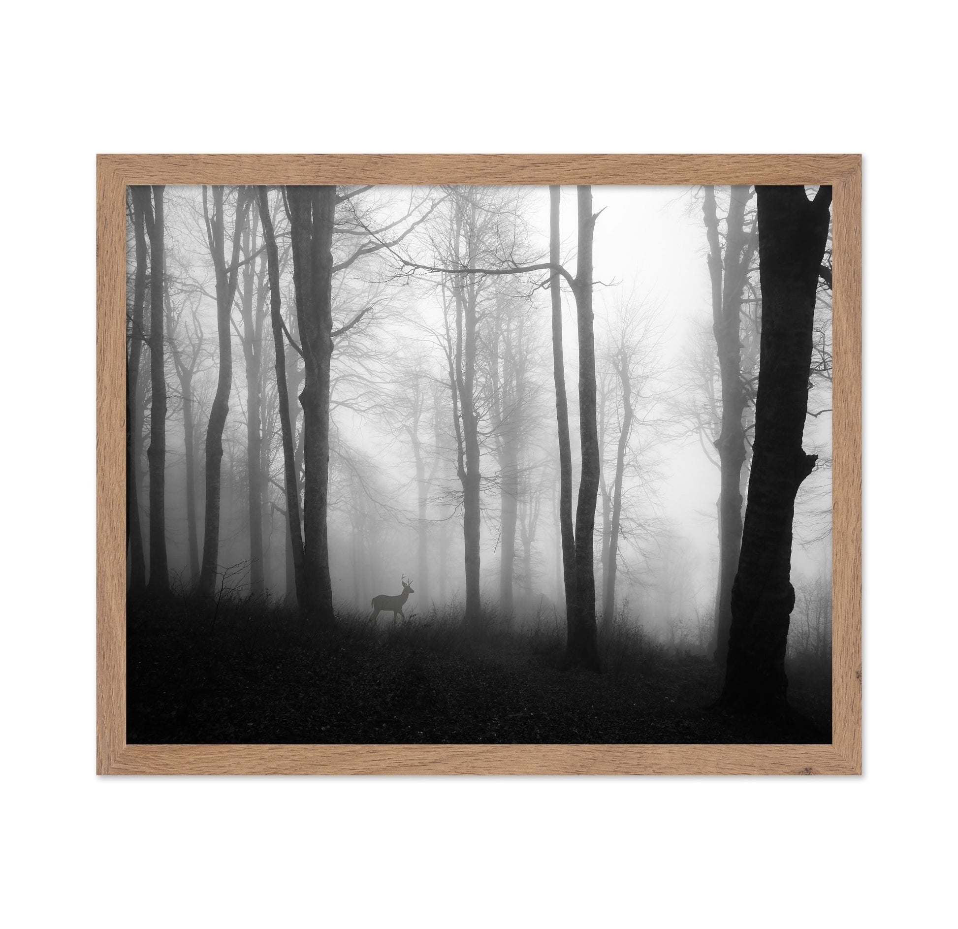 Misty Forest Deer