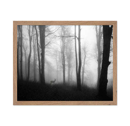 Misty Forest Deer