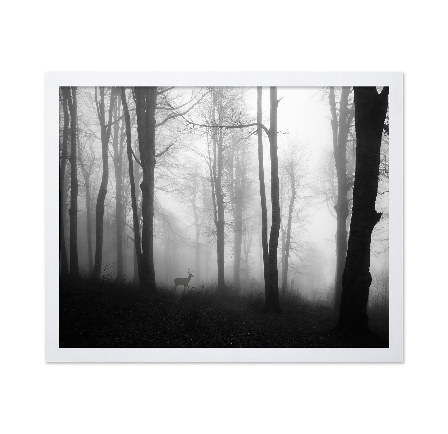 Misty Forest Deer