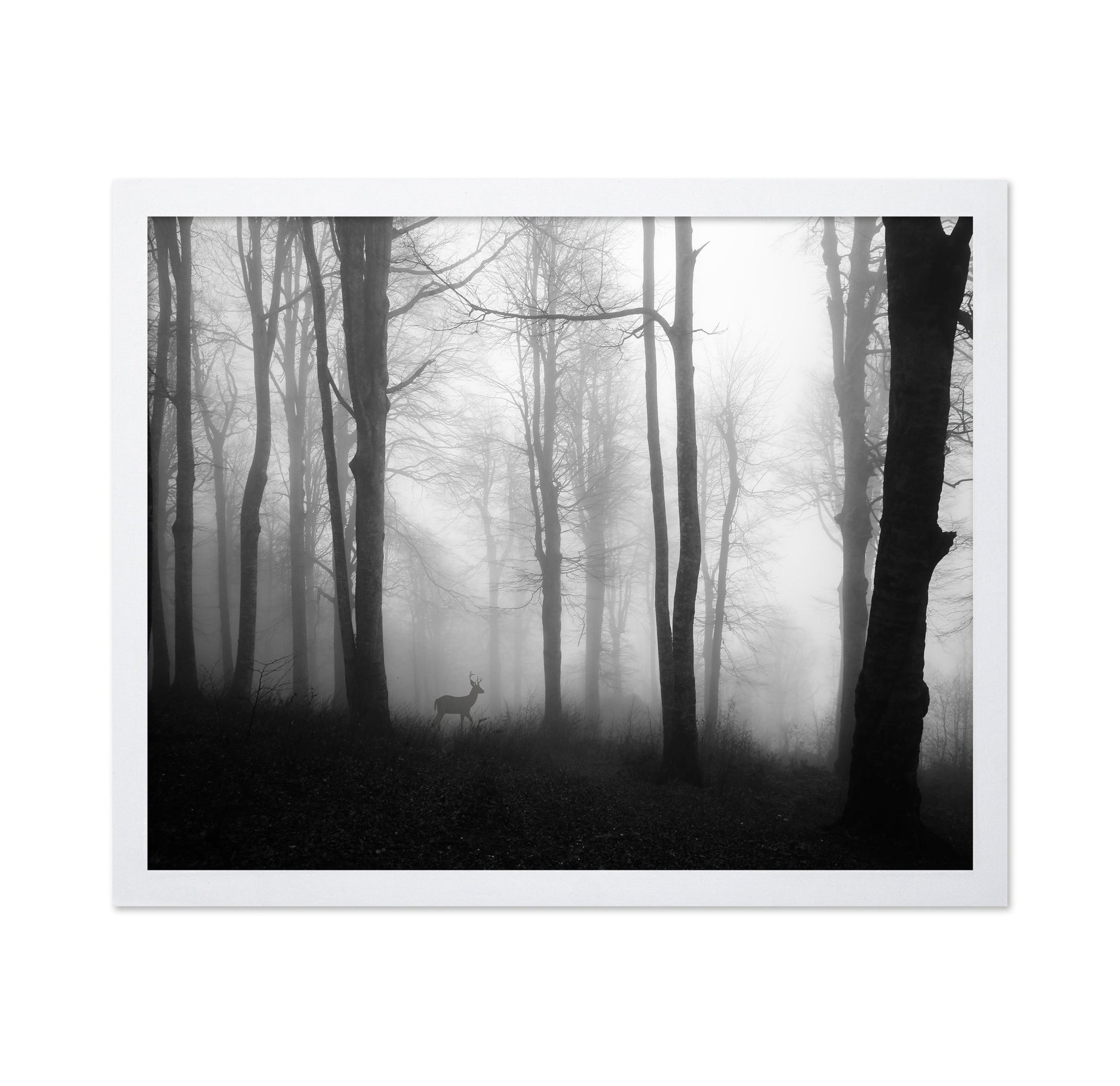 Misty Forest Deer