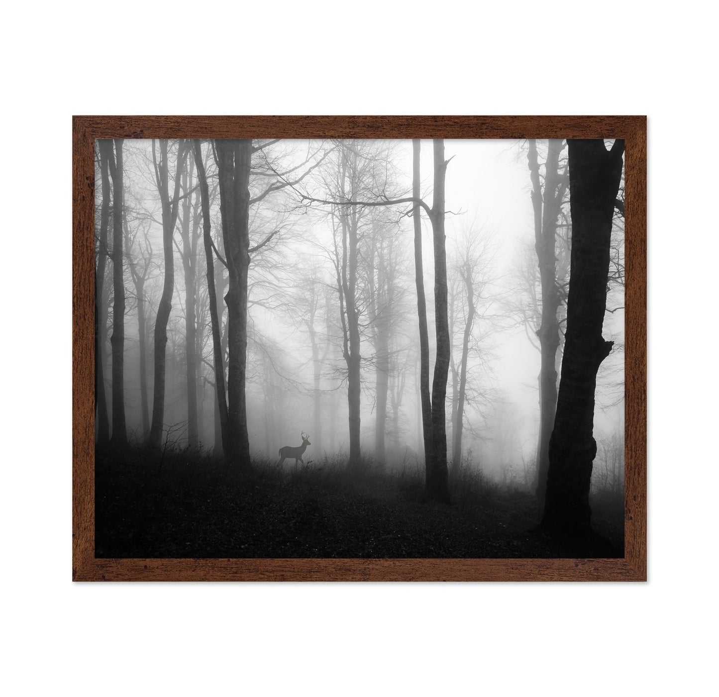 Misty Forest Deer