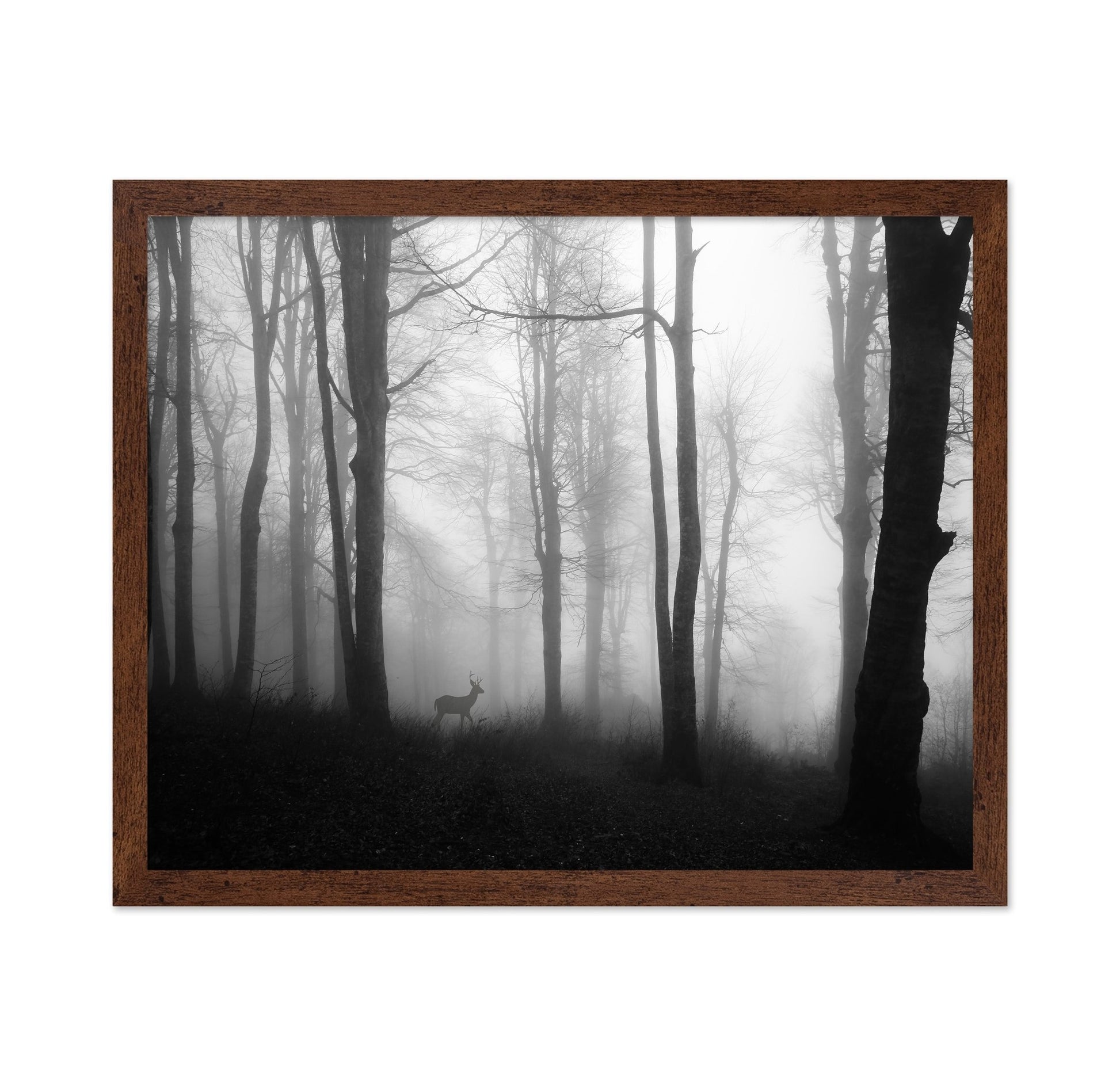 Misty Forest Deer