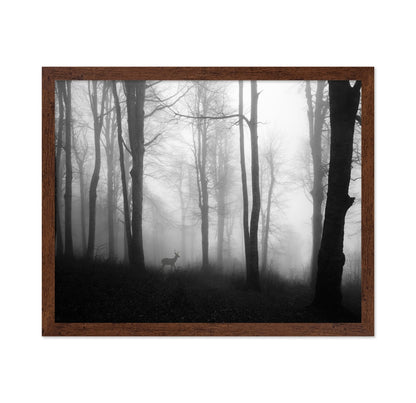 Misty Forest Deer