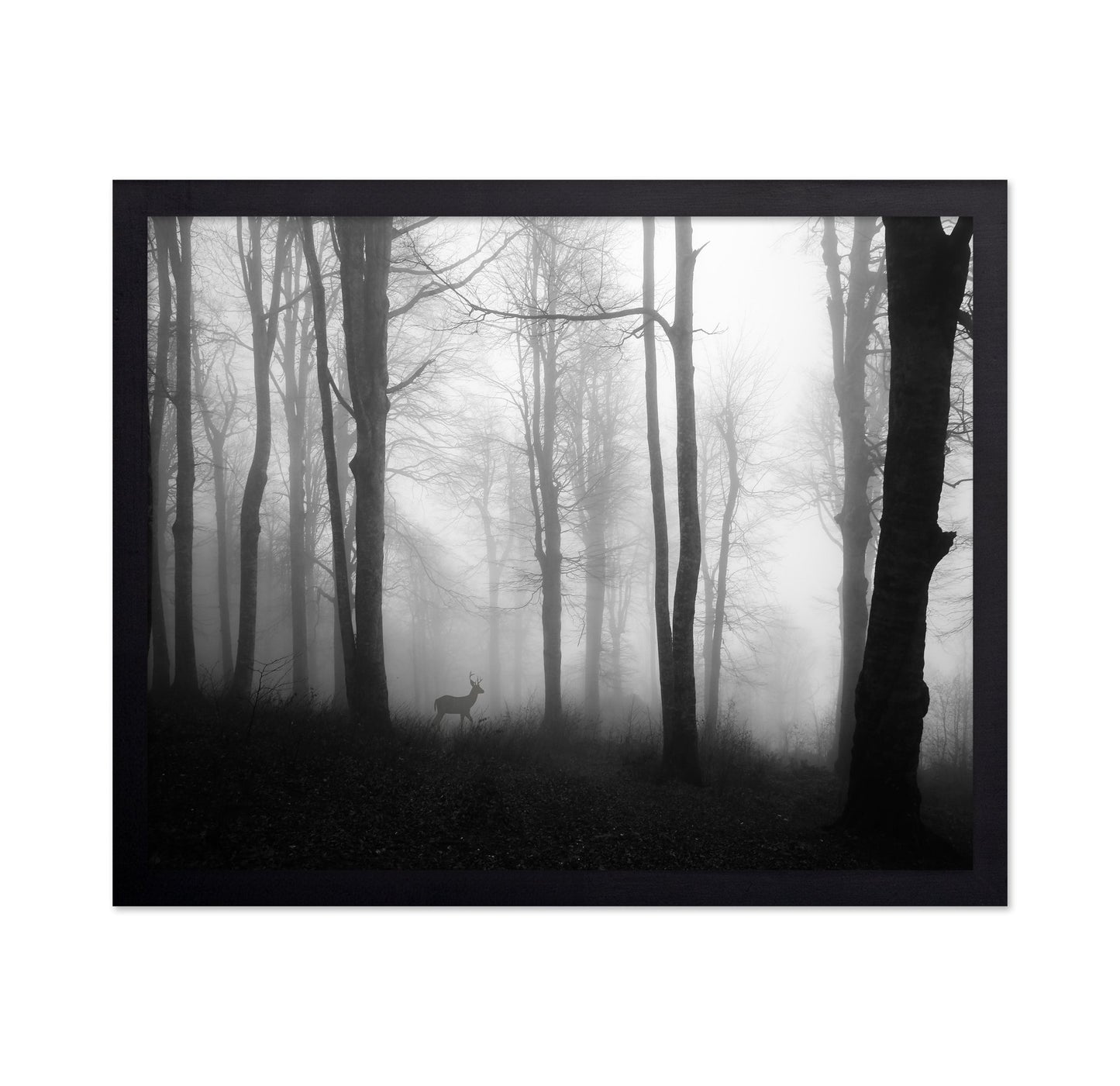 Misty Forest Deer