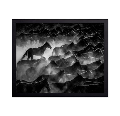 Wild Horses Shadows