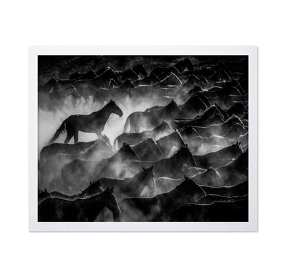 Wild Horses Shadows