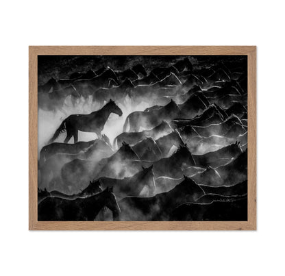 Wild Horses Shadows