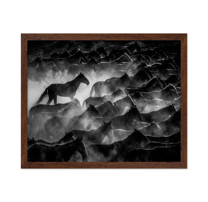Wild Horses Shadows