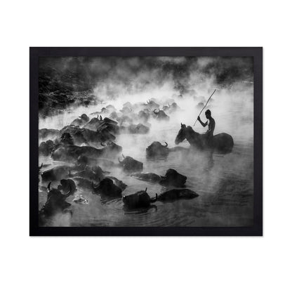 Buffalo River Herd