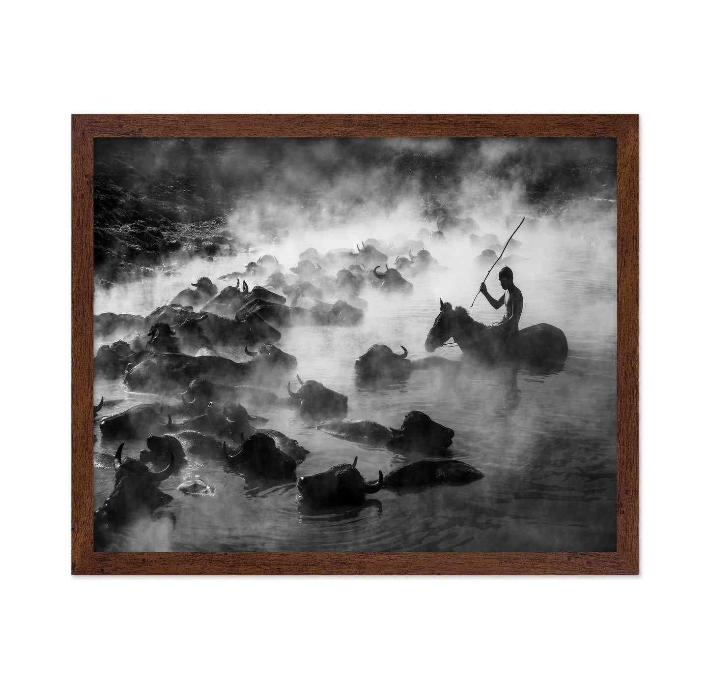 Buffalo River Herd