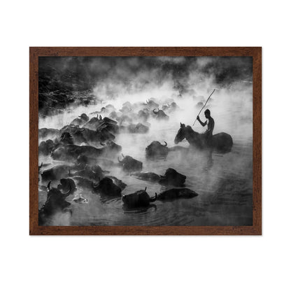 Buffalo River Herd