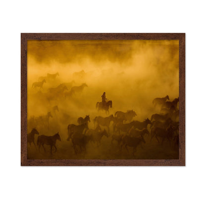 Wild Horses Dust Run