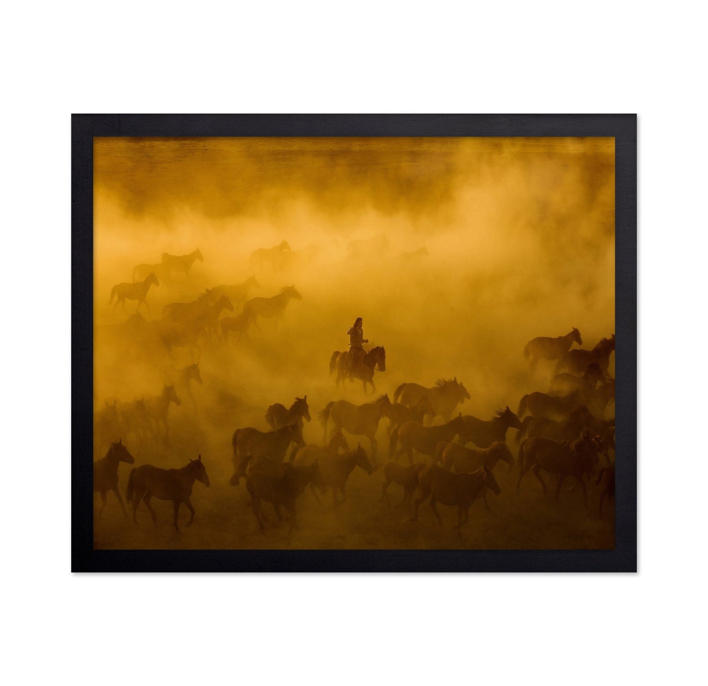 Wild Horses Dust Run