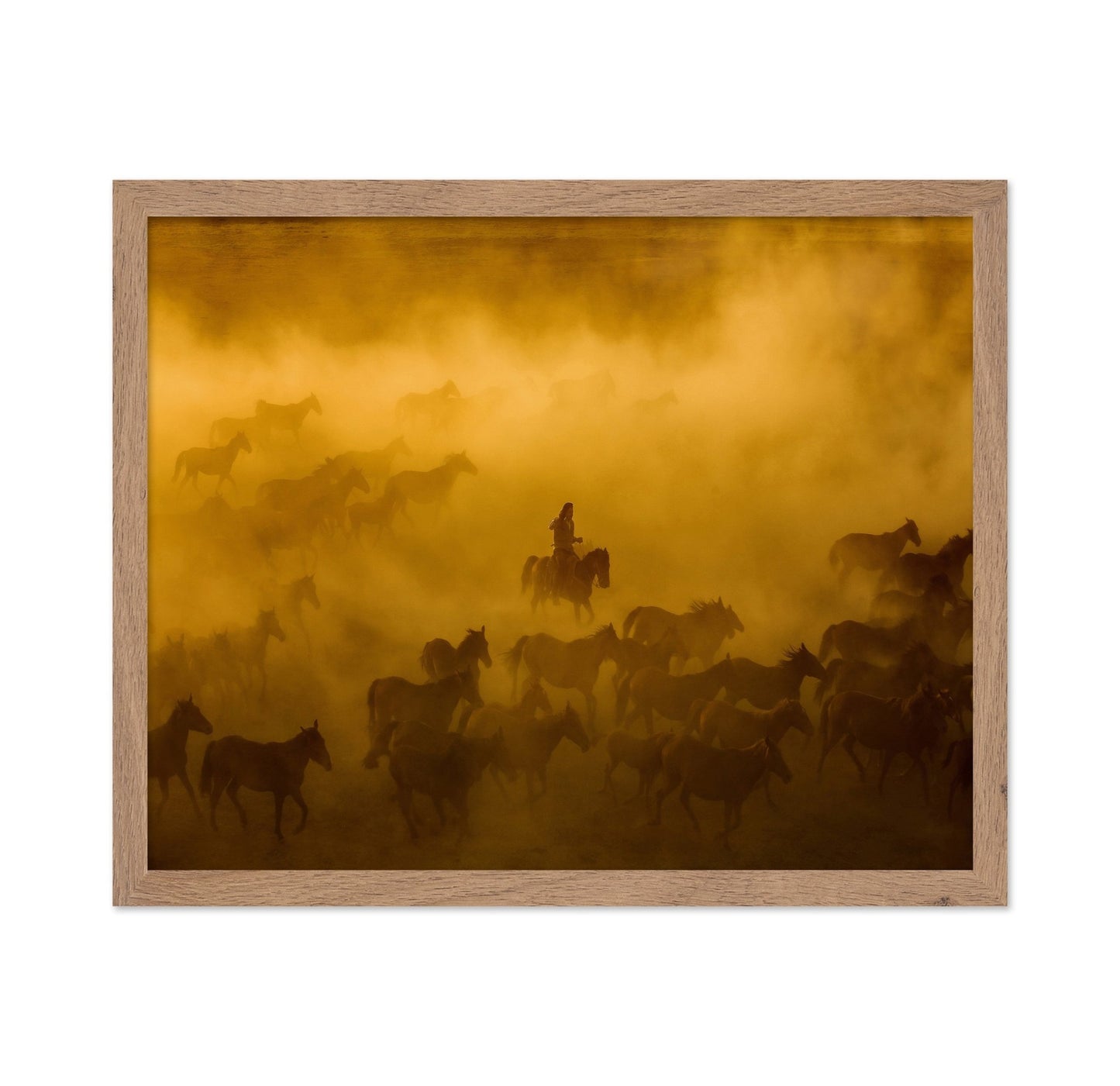 Wild Horses Dust Run
