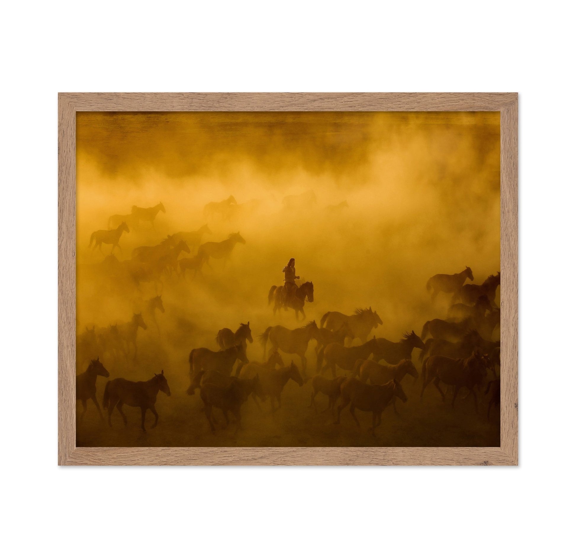 Wild Horses Dust Run