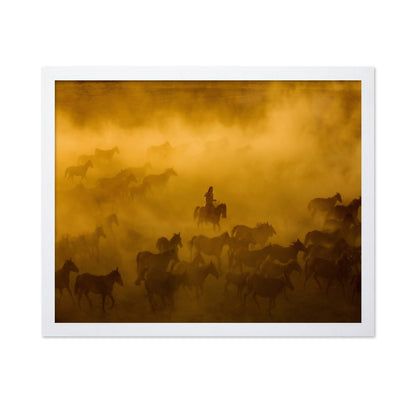 Wild Horses Dust Run