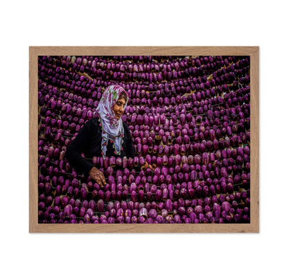 Eggplant Market Scene