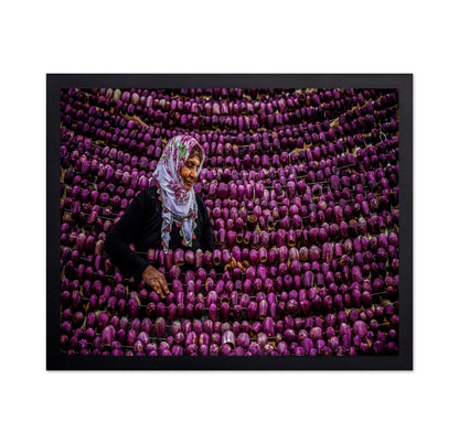 Eggplant Market Scene