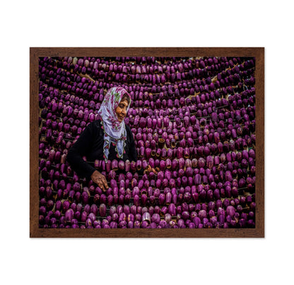Eggplant Market Scene