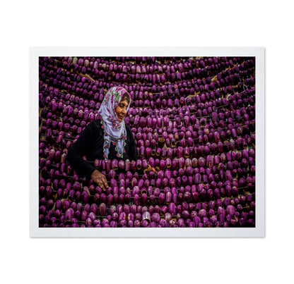 Eggplant Market Scene