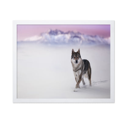 Snow Wolf Walk