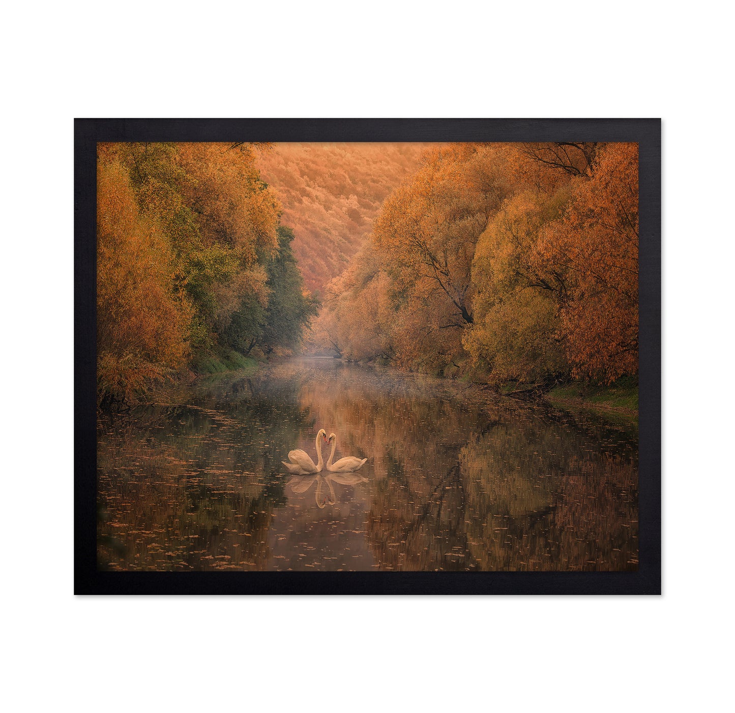 Autumn Swan Harmony