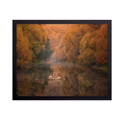 Autumn Swan Harmony