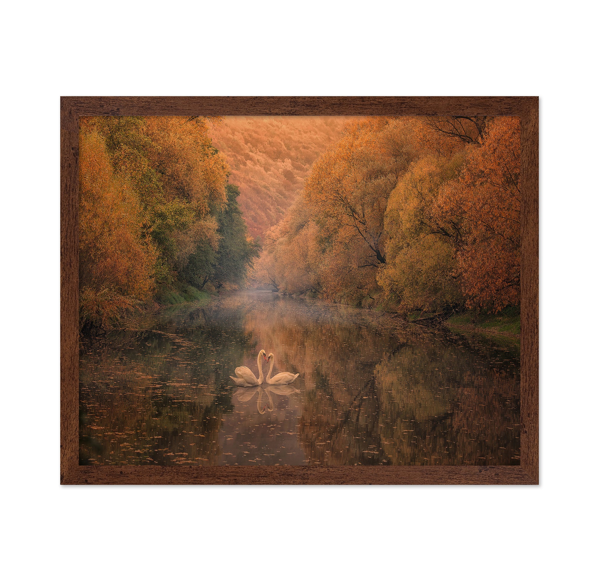 Autumn Swan Harmony