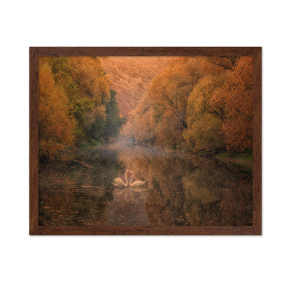 Autumn Swan Harmony