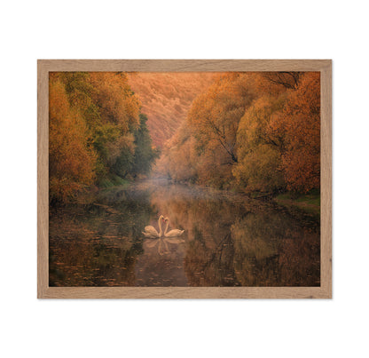 Autumn Swan Harmony