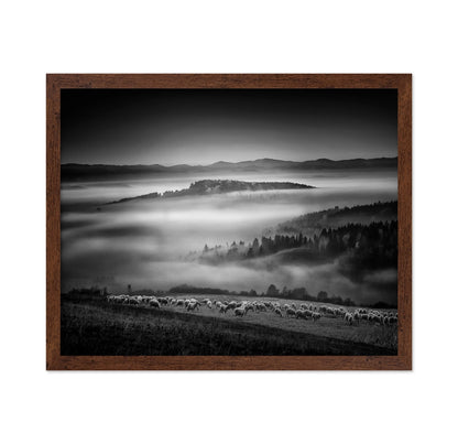 Foggy Hills Flock