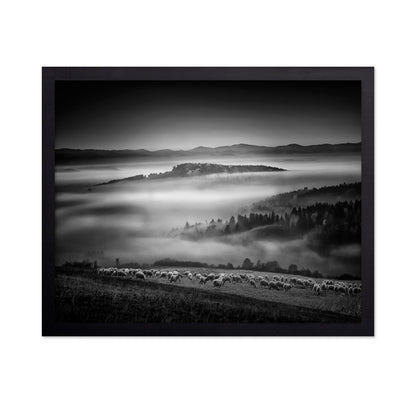 Foggy Hills Flock