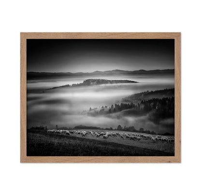 Foggy Hills Flock
