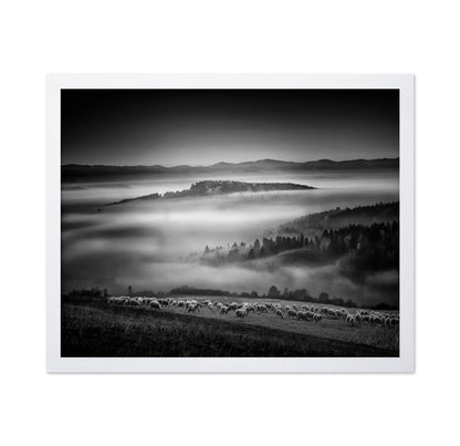 Foggy Hills Flock