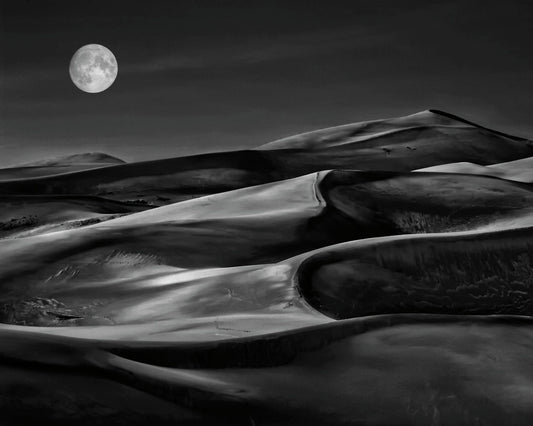 Moonlit Sand Dunes