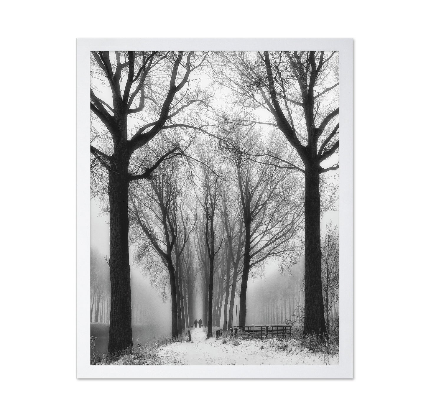 Winter Fog Walk