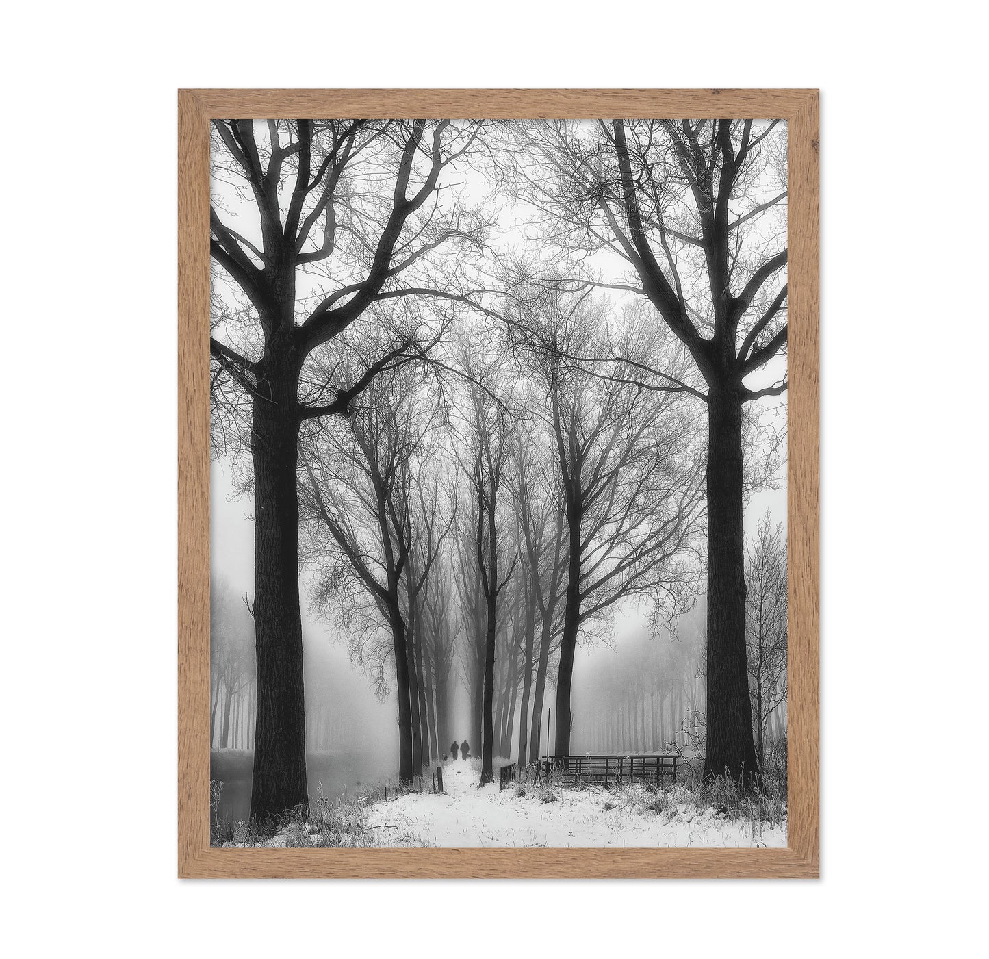 Winter Fog Walk
