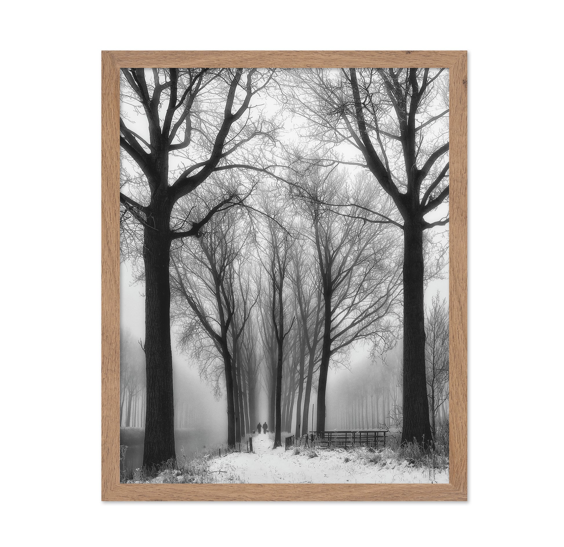 Winter Fog Walk