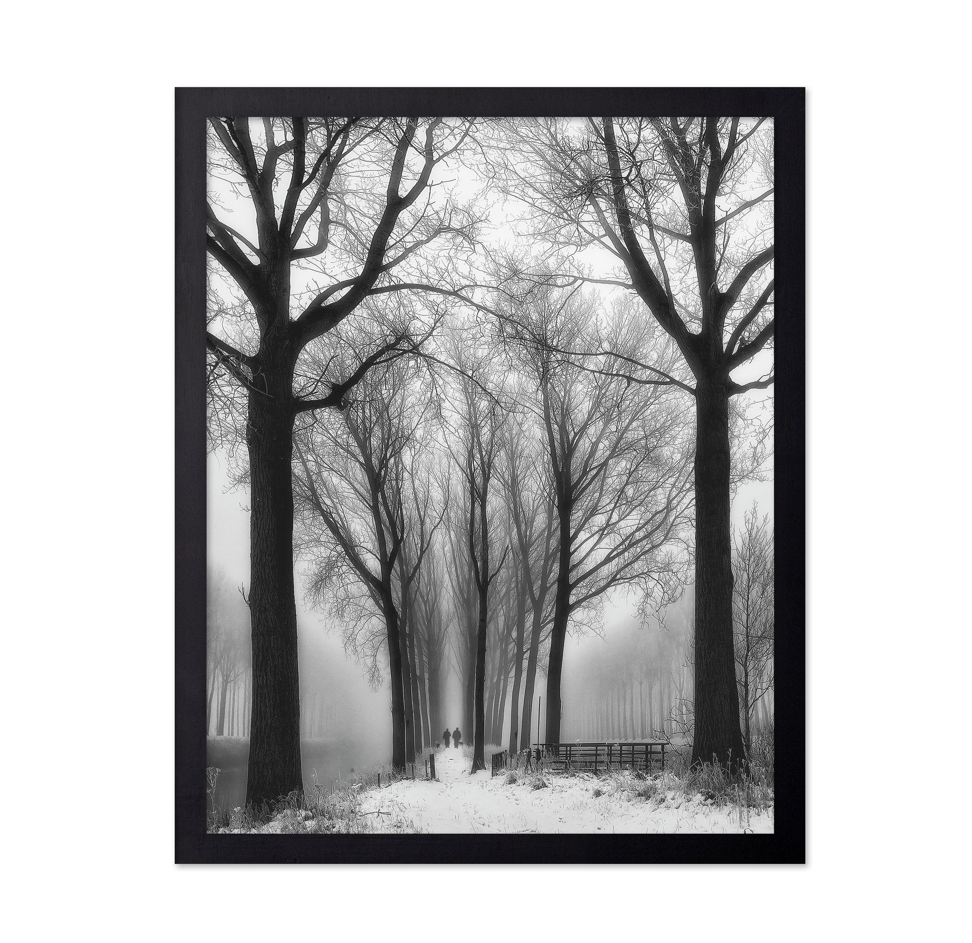 Winter Fog Walk