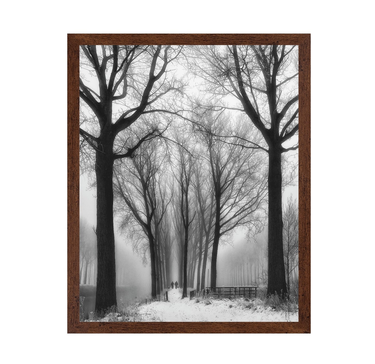 Winter Fog Walk