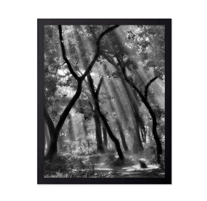 Forest Light Rays No3