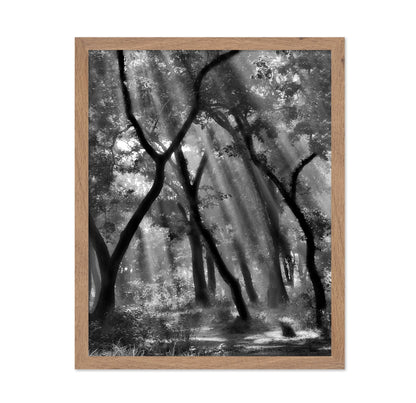 Forest Light Rays No3